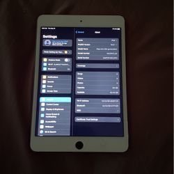 iPad MINI (5th Generation) 