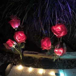 Solar Garden Red Roses Flower Pathway Lights