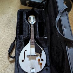 Washburn Mandolin Acoustic/Electric 