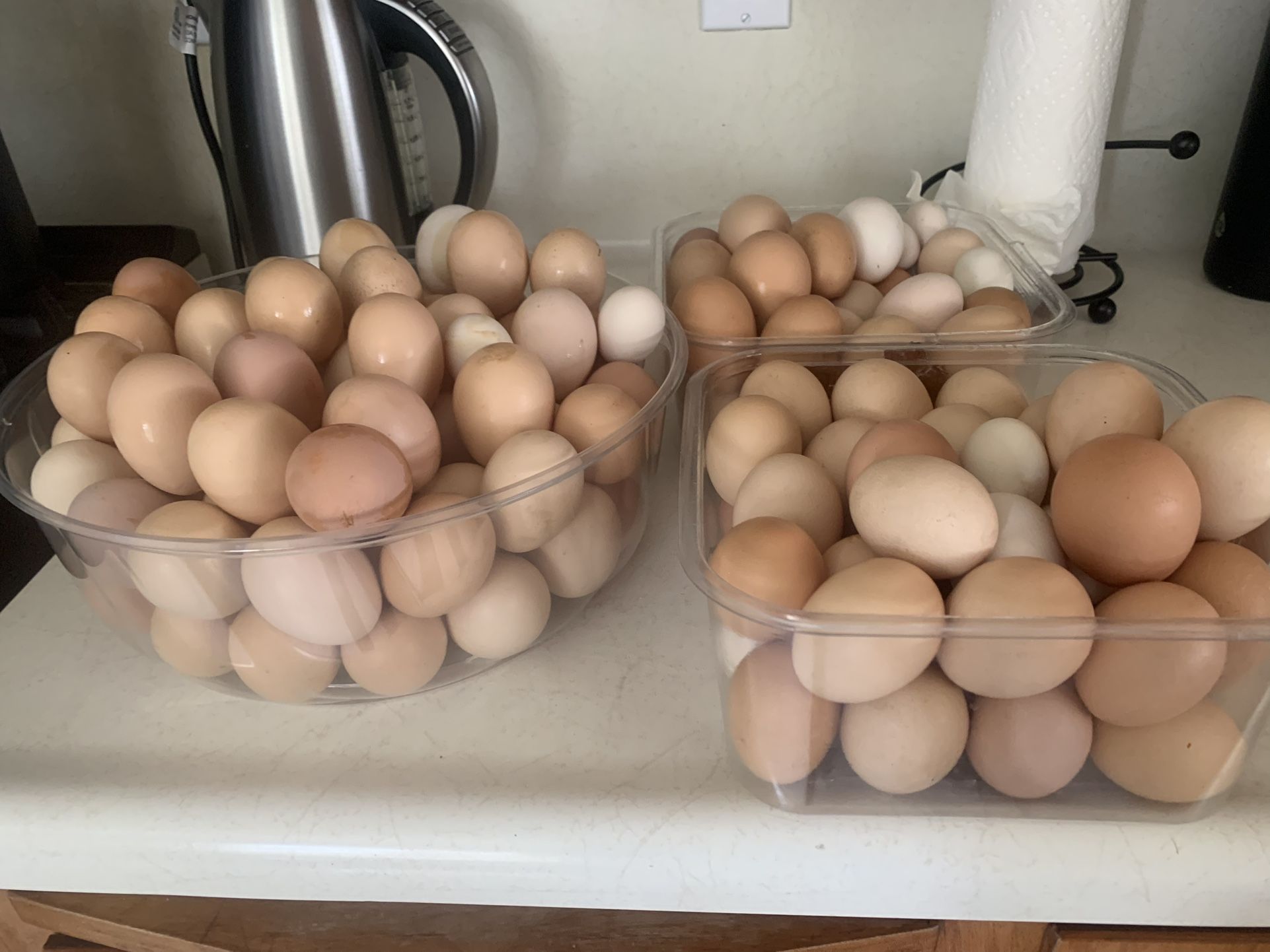 Eggs