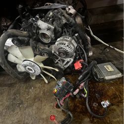 LS 5.3