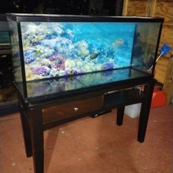Fish Tank 55g