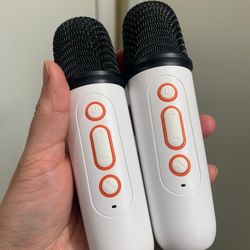 Bluetooth Karaoke Set (Open Box)