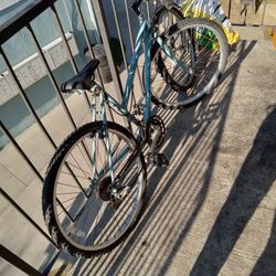 Redline Conquest Bike 