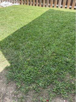 Yardas / Yards / Acres