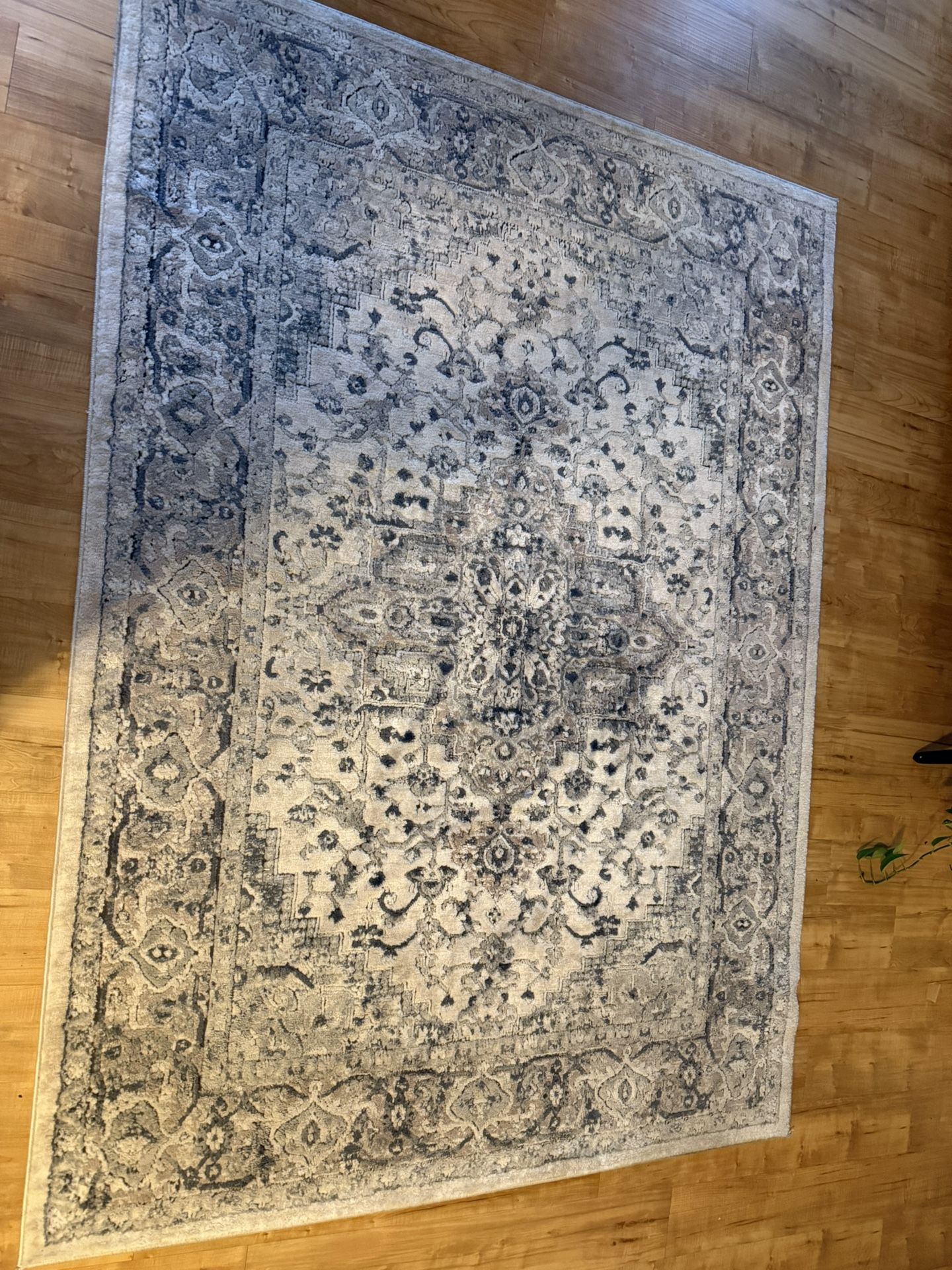 Rug