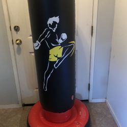 Kids Punching Bag Toy $8