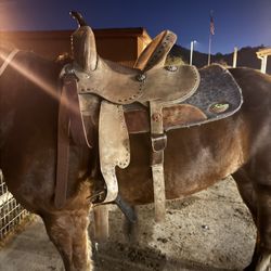 Saddle