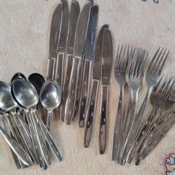 Stainless Steel Silverware Set