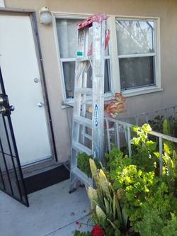 6 foot latter