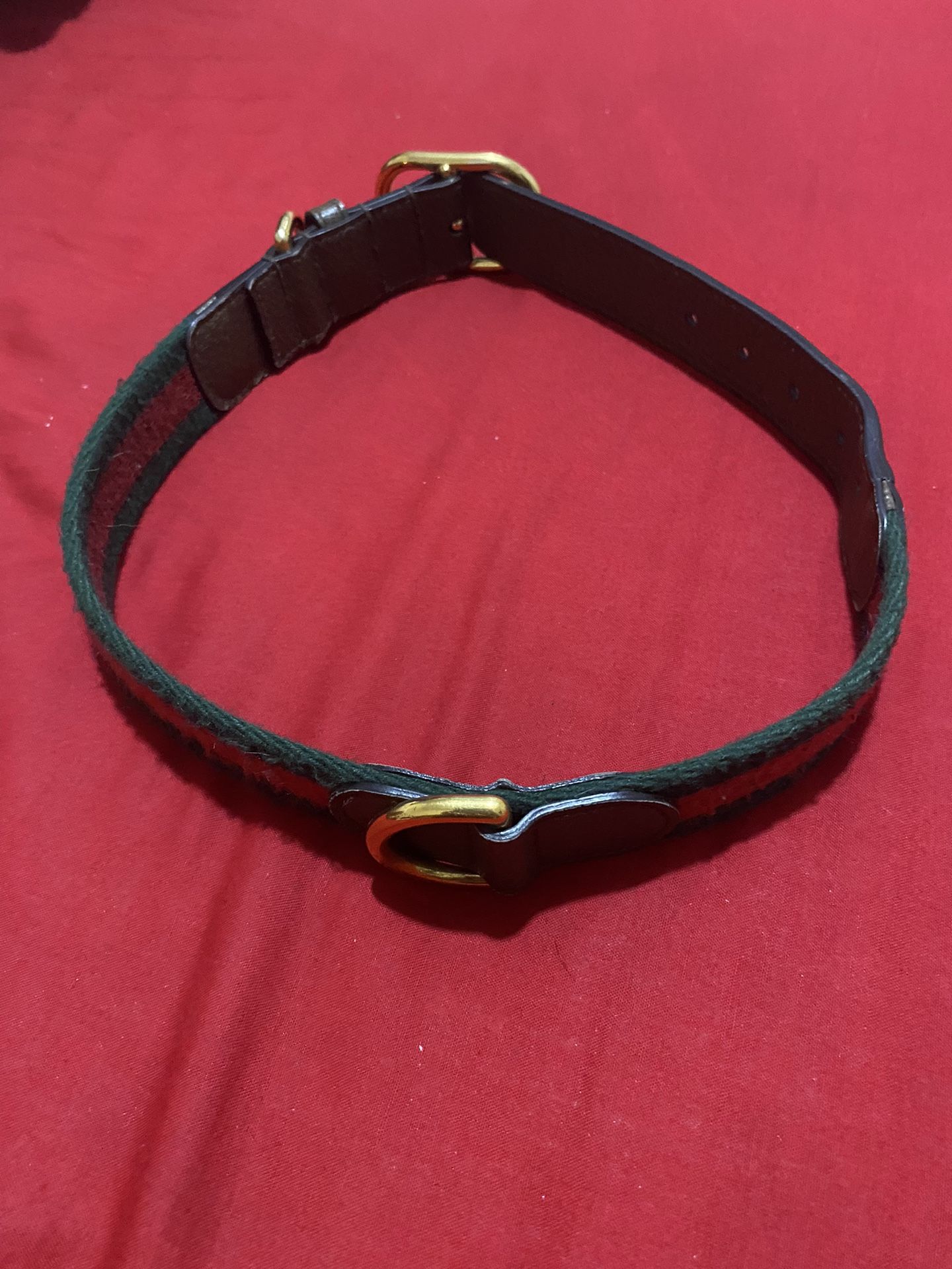 Authentic Gucci Dog Collar Medium/large Dogs 