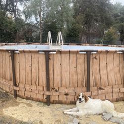 22’x52” Coleman Power Steel Pool