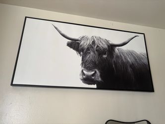 Frame