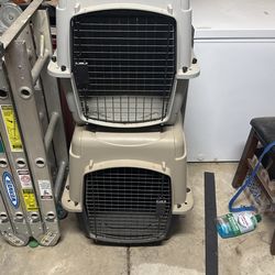 Every Yay Pet Kennel Small and Medium Size Dogs