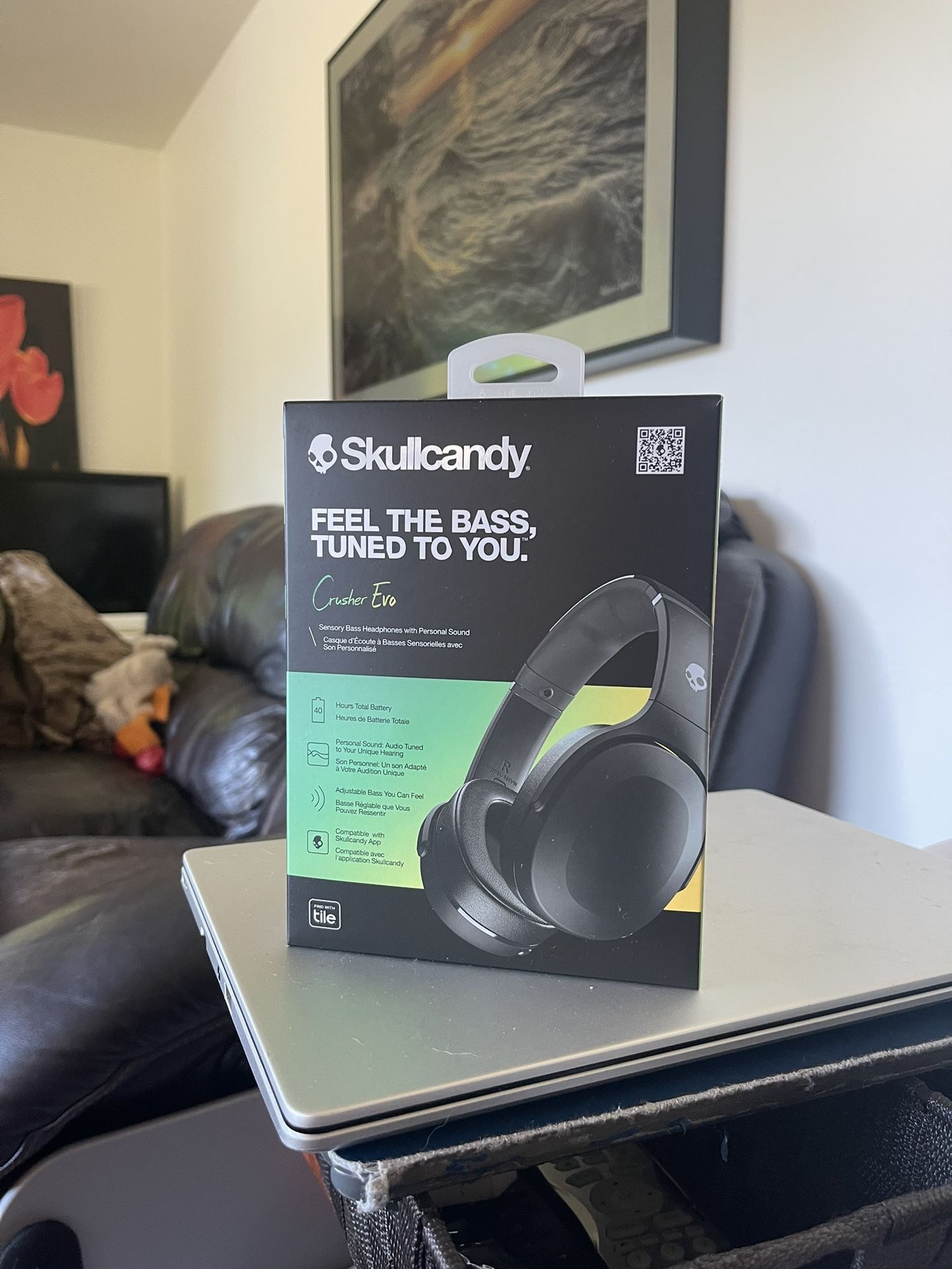 Skullcandy Headphones BRANDNEW