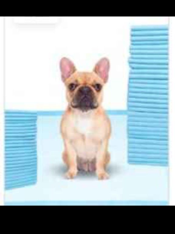 Brand-new XL Puppy Training Pads