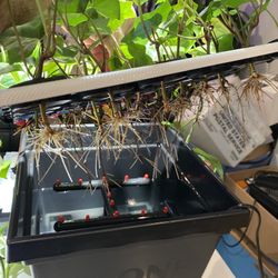 Plant Cloner & Propagator Aeroponic Original Clone King