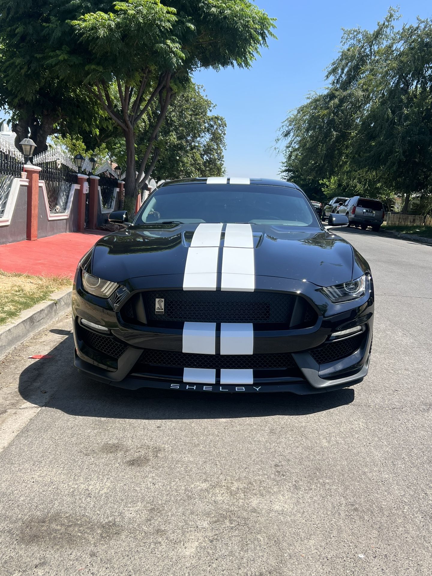 2018 Ford Shelby Gt350