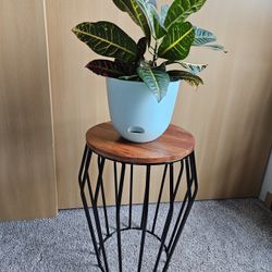 Plant Stand or Small Side Table