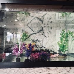 Fish Tank With Filter And Heater
