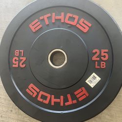 Weight/Bumper Plates(4)