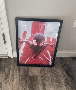 Spider man framed picture