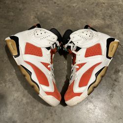 Gatorade Jordan 6