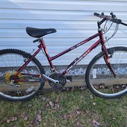 Women's Mountain Bike -Needs work