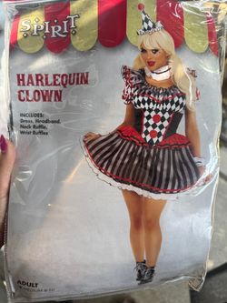 Harlequin Clown costume