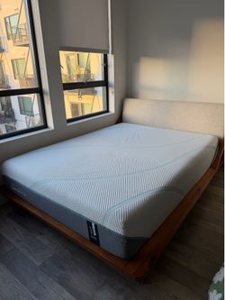 CB2 Drommen Acacia Queen Size Bed