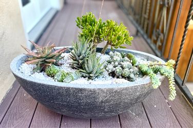 Large Succulent Garden in Solid Stone Planter – 27" x 15" x 11"