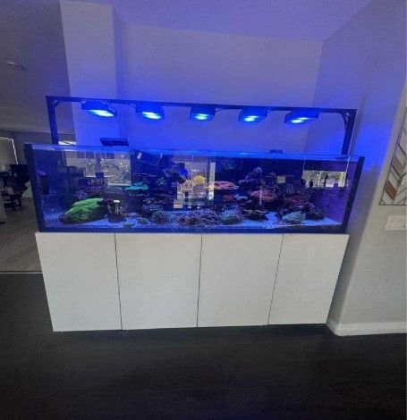 Premium Fish Tank Setup – Stylish Design and Top Quality many type