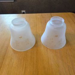 Vintage / Antique Home Decor - Set of 2 Replacement Glass Light Shade Covers - Sunshines and Leaves