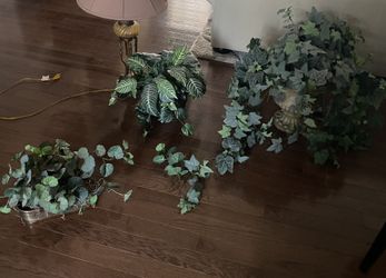 Pretty Greenery