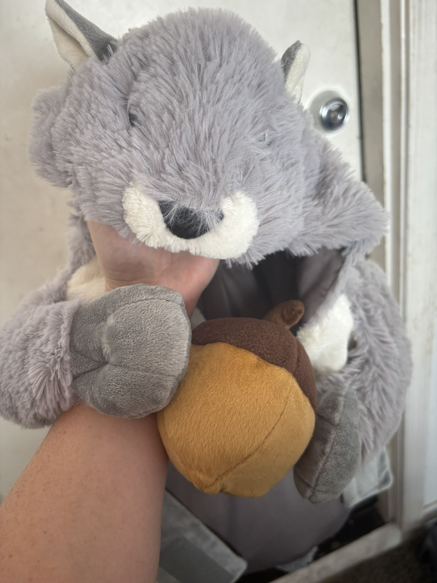 Dog Squirrel Costume Large L