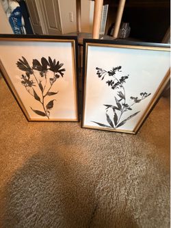 Botanical Framed Wall Art