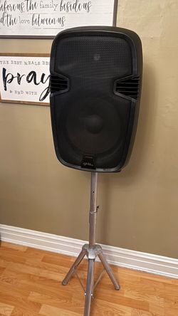 Ignite Pro 12" Pro Series Speaker DJ / PA System