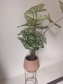 Fake plant with gold stand decor