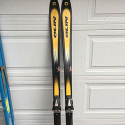 195 Olin Shape Apex T Downhill Skis