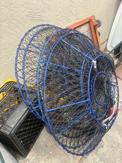 32” Lobster Hoops
