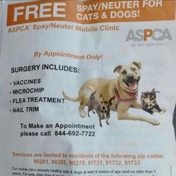 FREE SPAY/NEUTER 