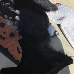 Damage No Face Bat Decor 