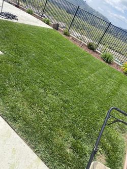 Weekly . One Time . Two Times. Clean Ups . Yard. Mulch .