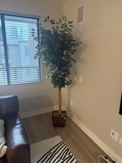 6ft light up tree
