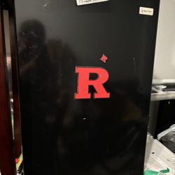 Mini Refrigerator 