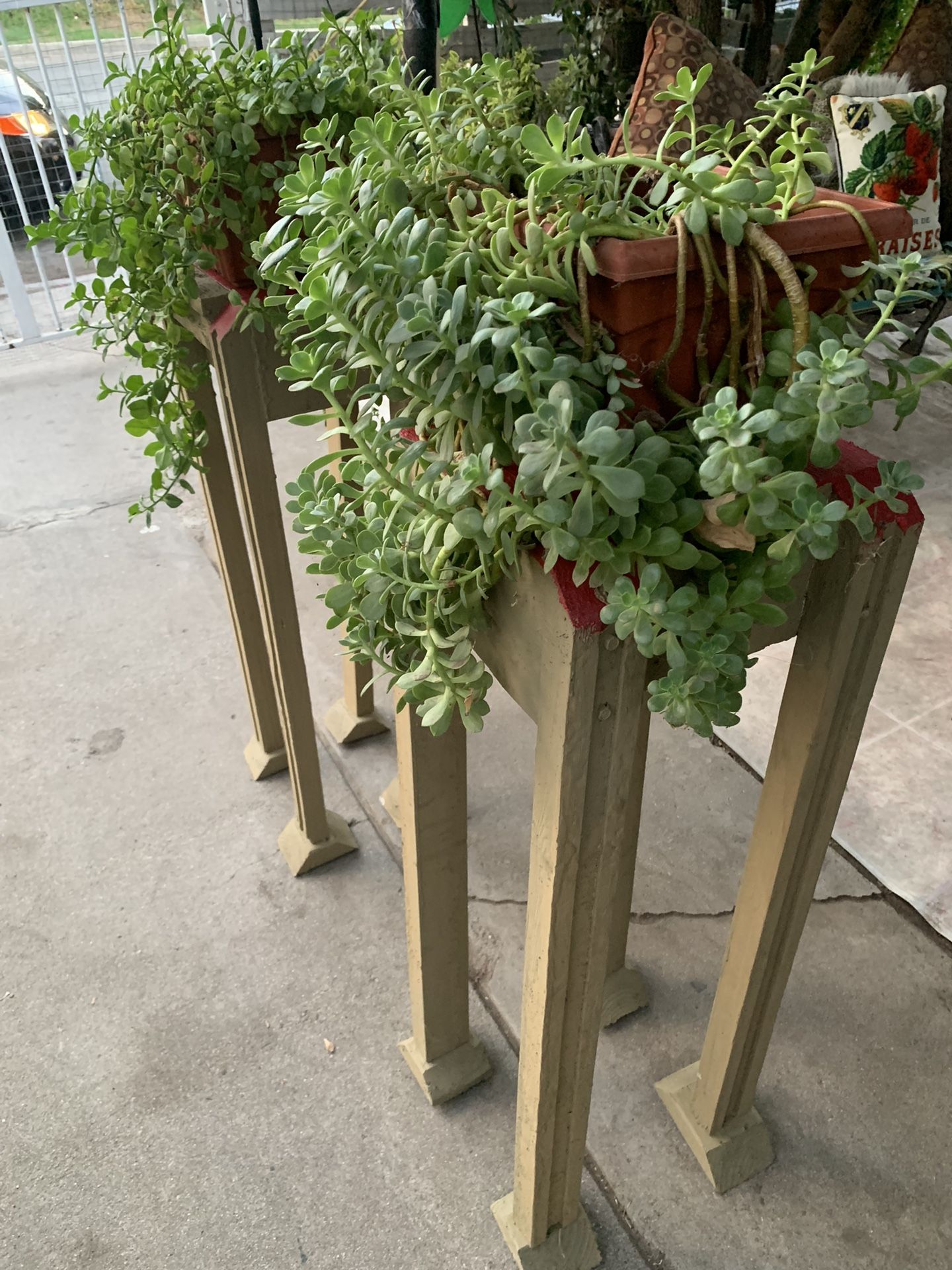 Plant Holders