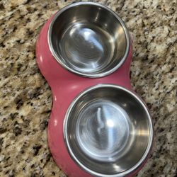 Dog Bowl