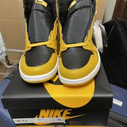 Air Jordan 1 Pollen