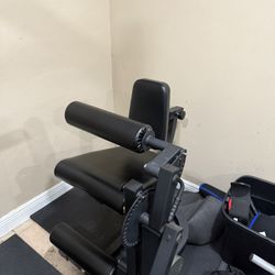 Titan Fitness Leg Extension & Hamstring Curl 