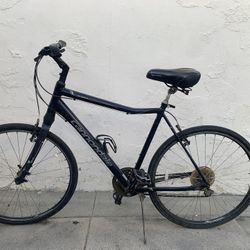 Cannondale XL Bike